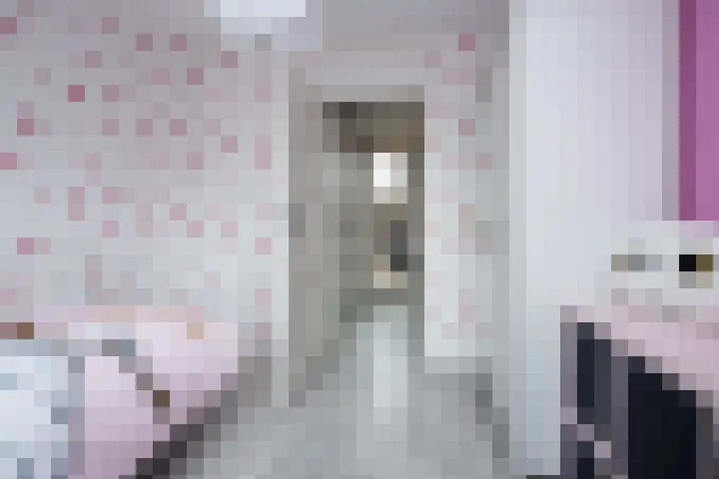 Pieter Janszoon Jongstraat 92 Lutjebroek thumbnail 24