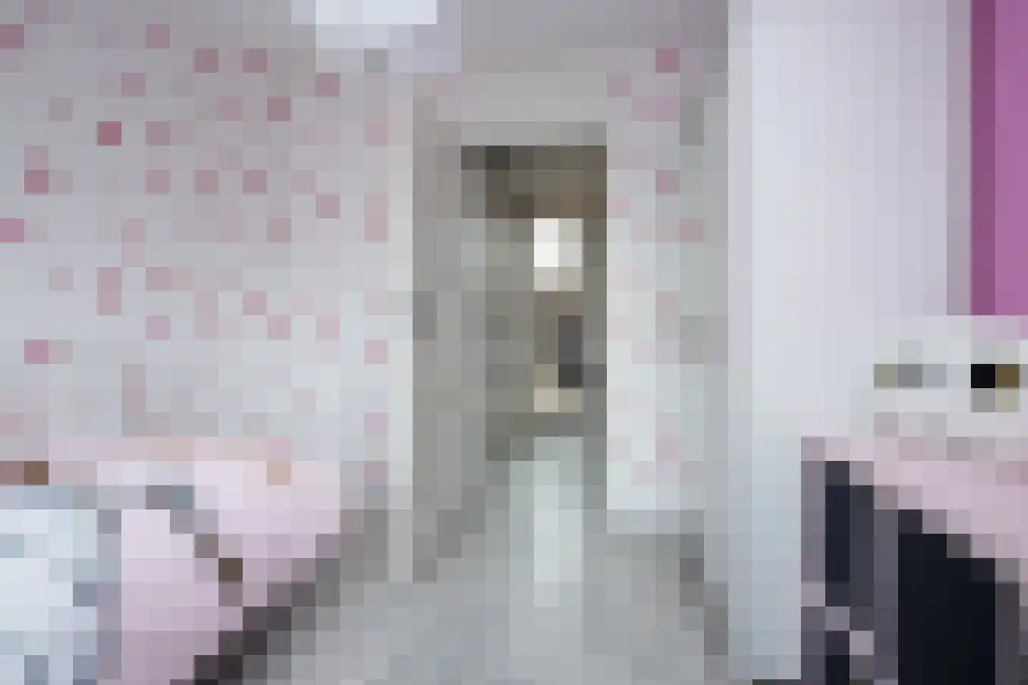 Pieter Janszoon Jongstraat 92 Lutjebroek thumbnail 24