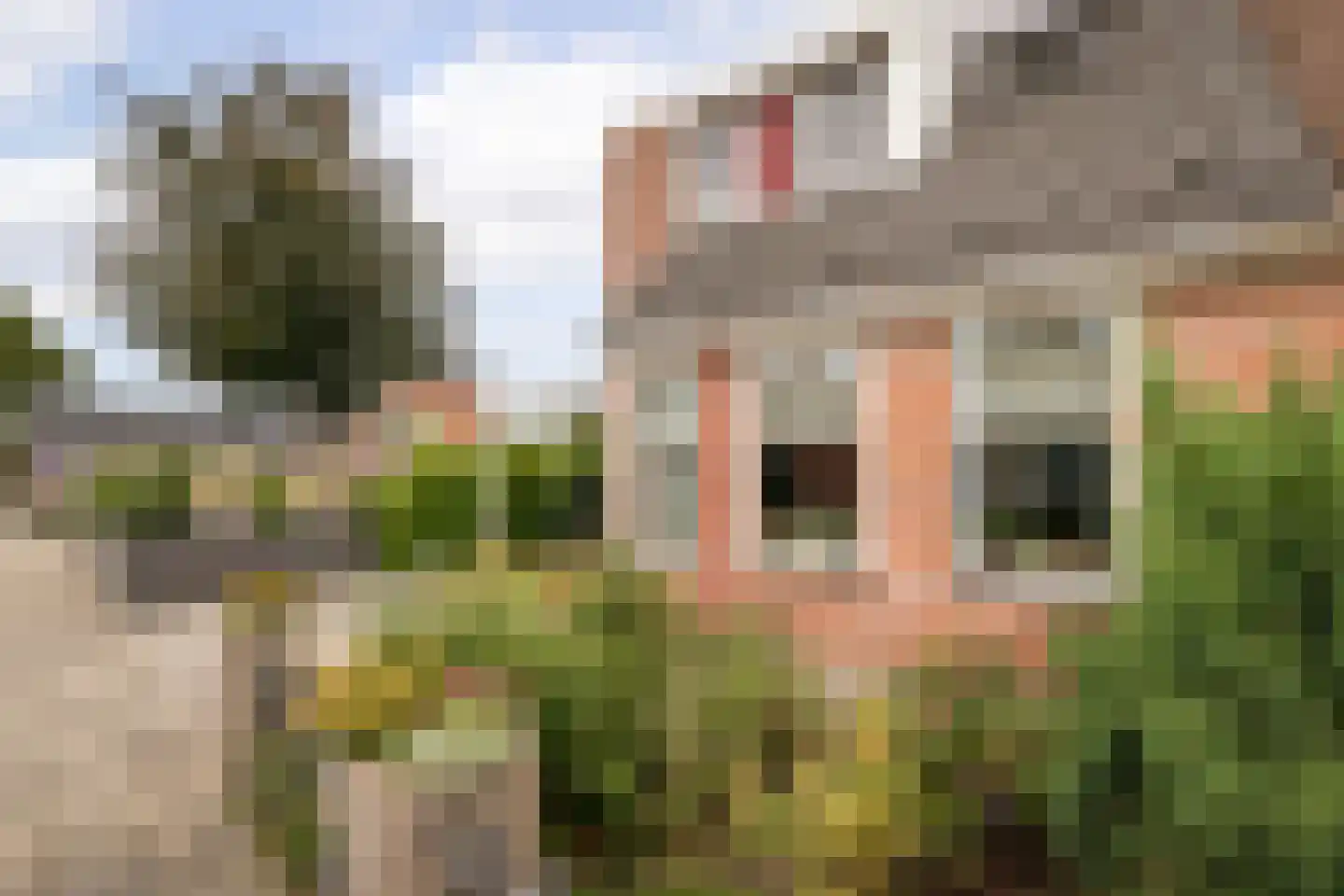 Pieter Janszoon Jongstraat 92 Lutjebroek thumbnail 40
