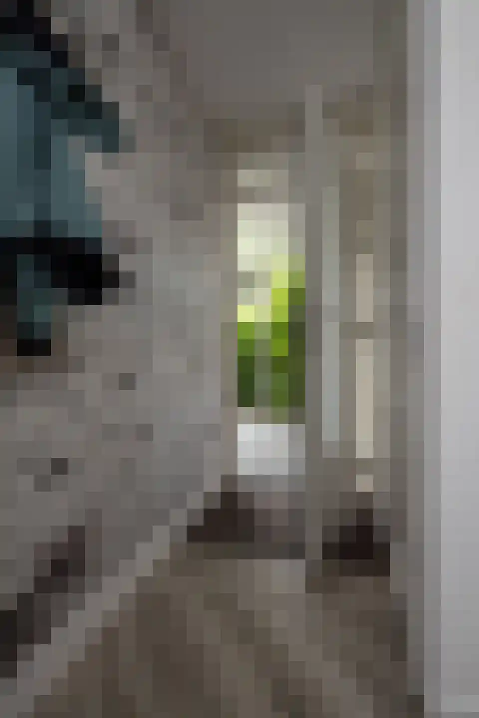 Pieter Janszoon Jongstraat 92 Lutjebroek thumbnail 45