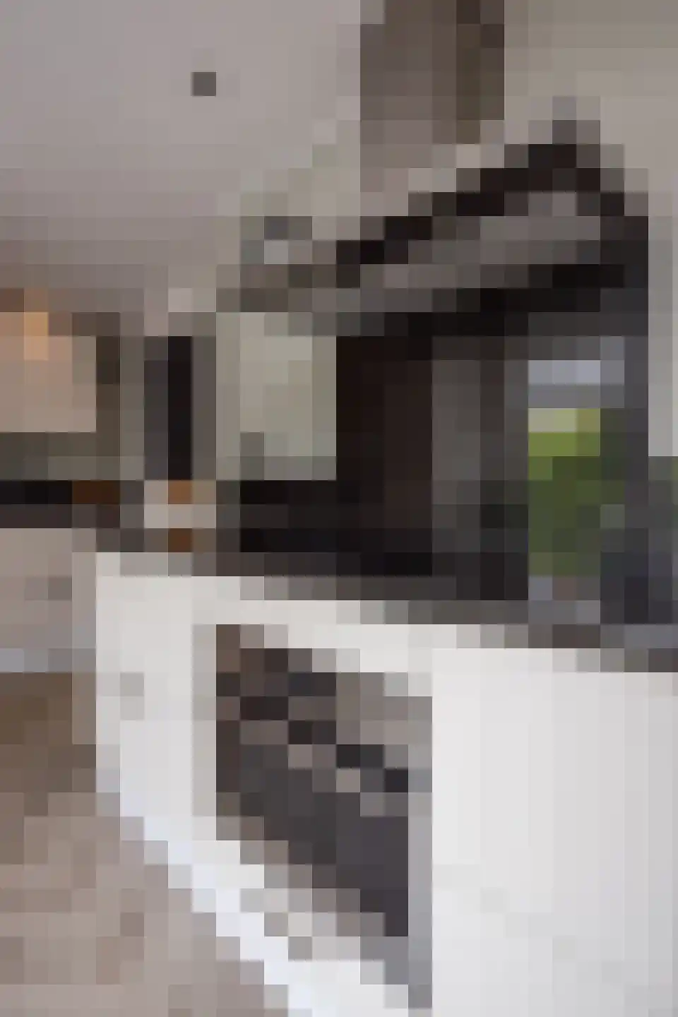 Pieter Janszoon Jongstraat 92 Lutjebroek thumbnail 48