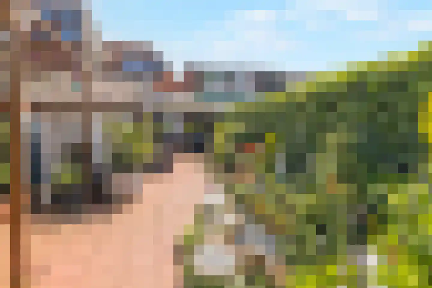 Pieter Jelles Troelstralaan 109 Zaandam thumbnail 30