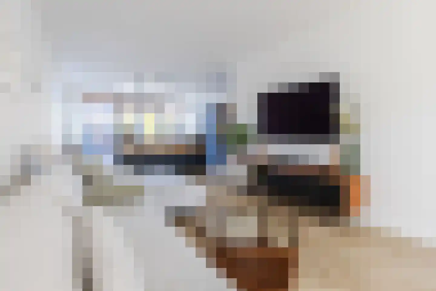 Pieter Jelles Troelstralaan 131 Zaandam thumbnail 13