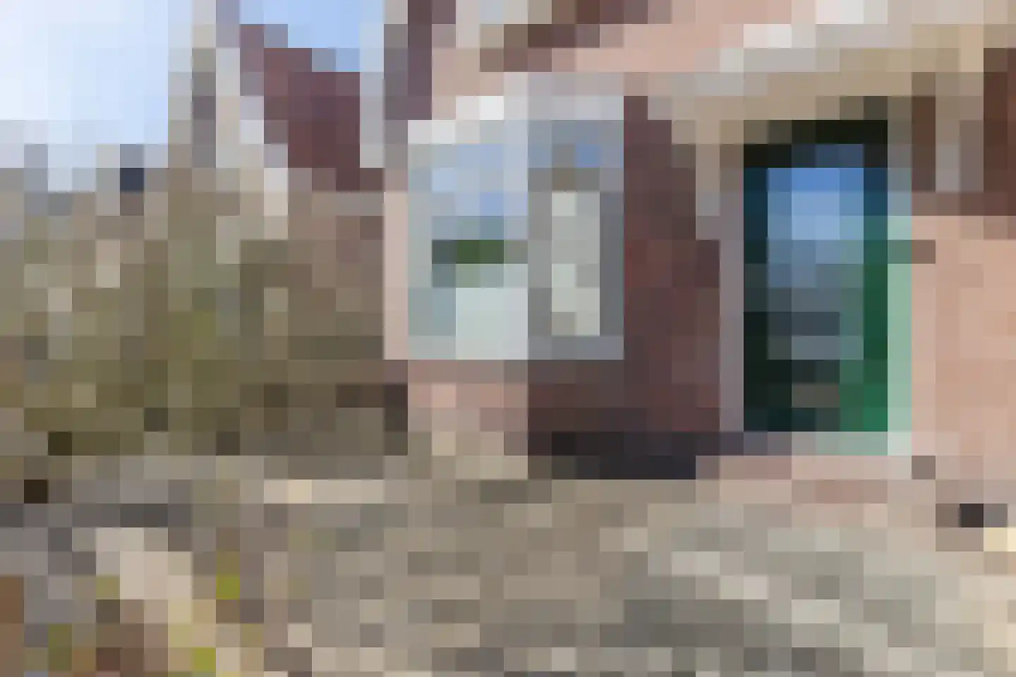 Pieter Jelles Troelstralaan 131 Zaandam thumbnail 9