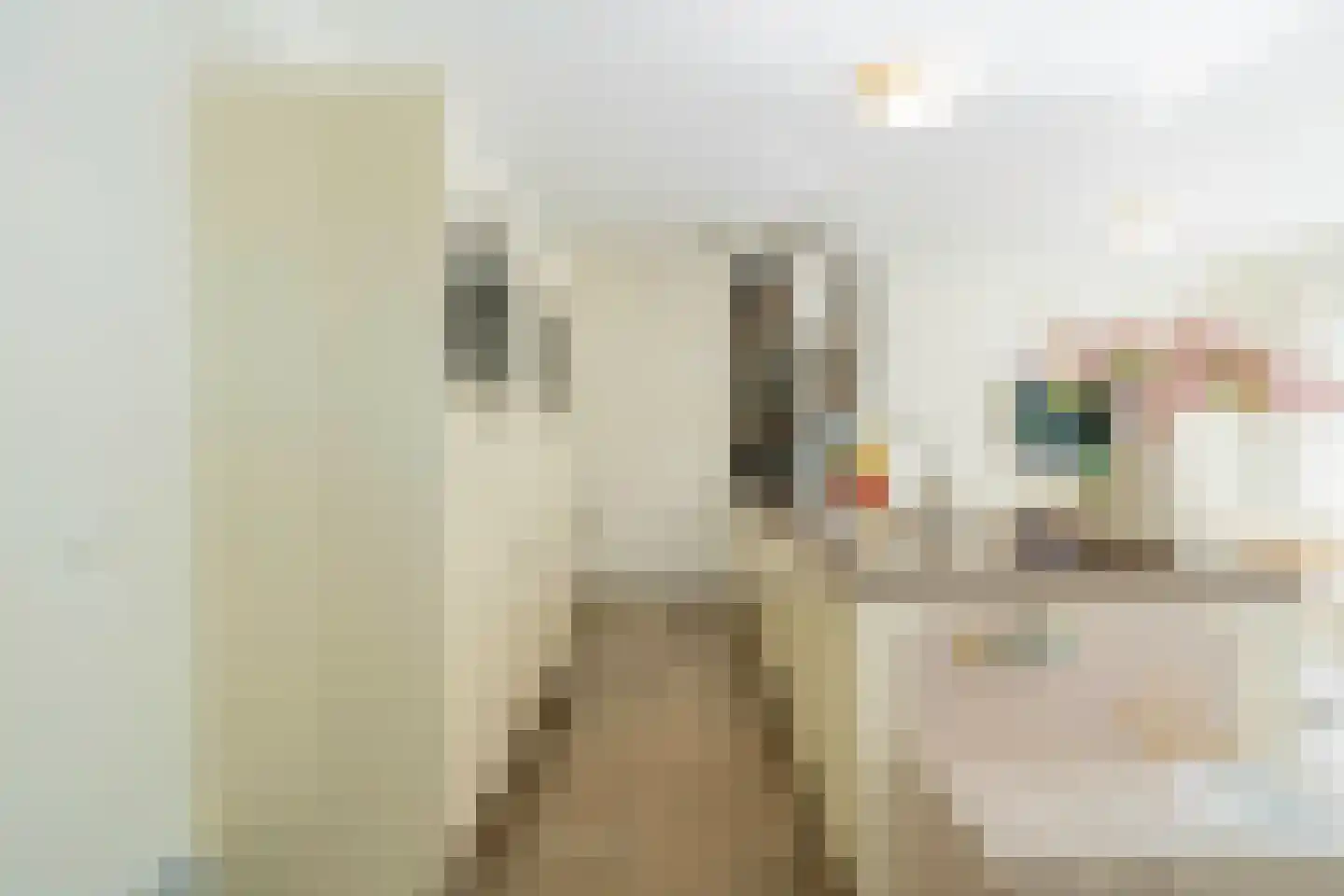 Pieter Jelles Troelstralaan 2 Zaandam thumbnail 13