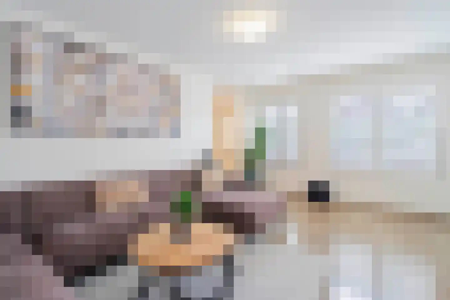 Pieter Jelles Troelstralaan 2 Zaandam thumbnail 30