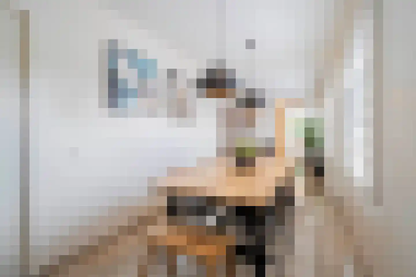 Pieter Jelles Troelstralaan 2 Zaandam thumbnail 34