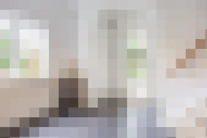 Pieter Jelles Troelstralaan 22 Amersfoort thumbnail 17