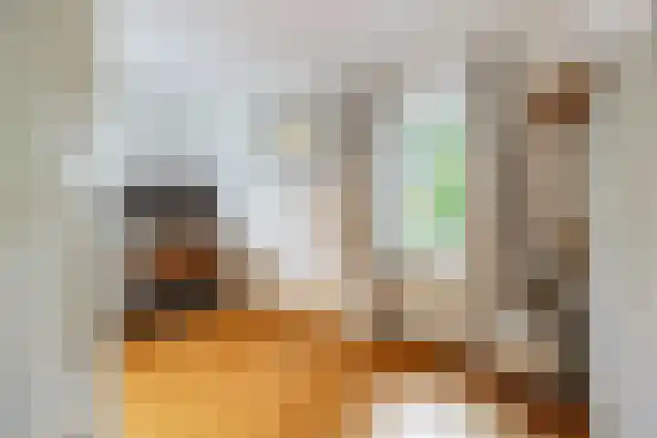 Pieter Jelles Troelstralaan 22 Amersfoort thumbnail 26