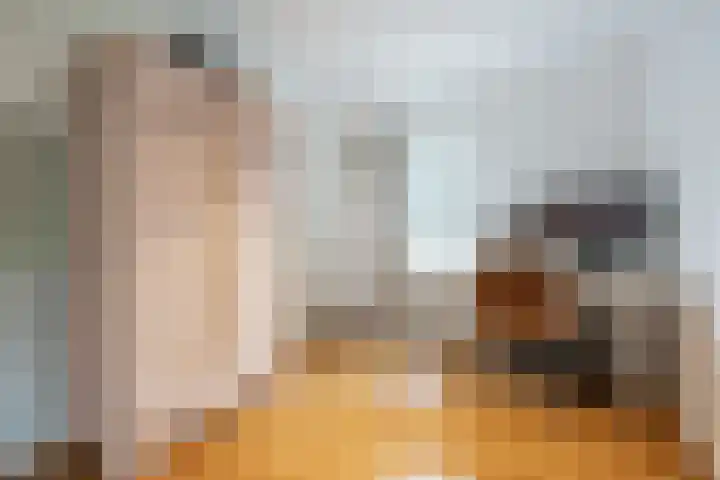 Pieter Jelles Troelstralaan 22 Amersfoort thumbnail 27
