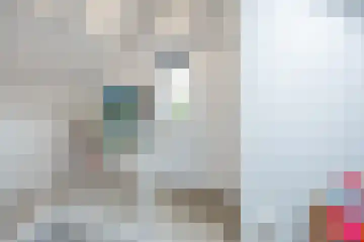 Pieter Jelles Troelstralaan 22 Amersfoort thumbnail 36