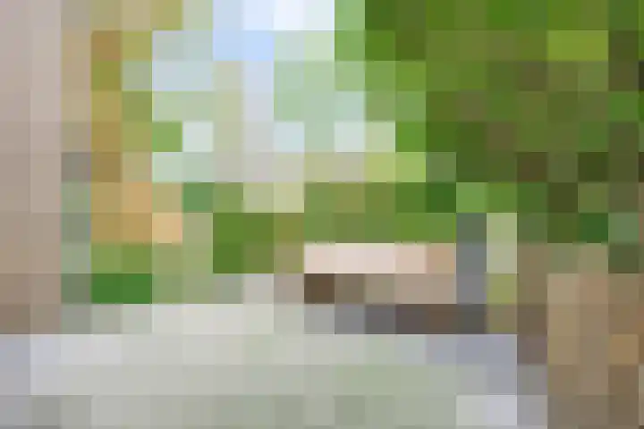 Pieter Jelles Troelstralaan 22 Amersfoort thumbnail 47