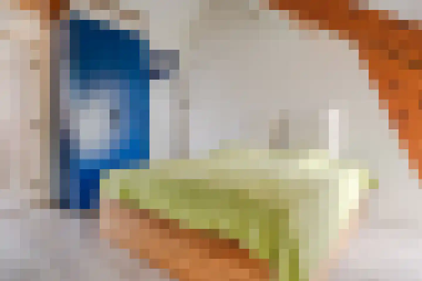 Pieter Jelles Troelstralaan 27 Zaandam thumbnail 24