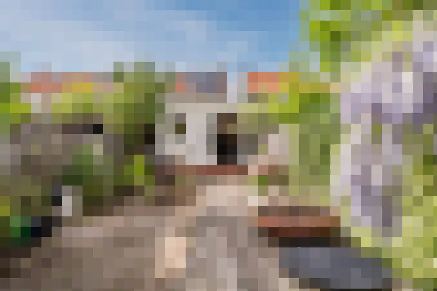 Pieter Jelles Troelstralaan 27 Zaandam thumbnail 38