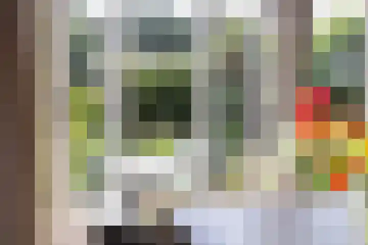 Pieter Jelles Troelstralaan 48 Amersfoort thumbnail 11