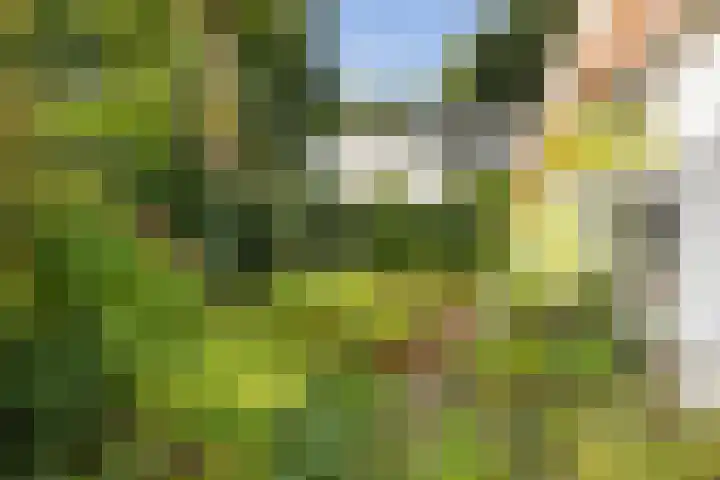 Pieter Jelles Troelstralaan 48 Amersfoort thumbnail 23