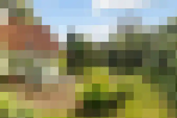 Pieter Jelles Troelstralaan 48 Amersfoort thumbnail 25