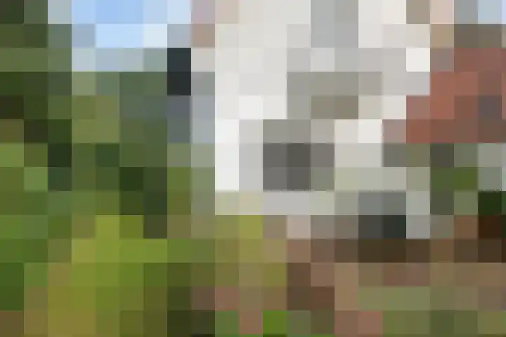 Pieter Jelles Troelstralaan 48 Amersfoort thumbnail 29
