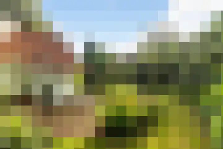 Pieter Jelles Troelstralaan 48 Amersfoort thumbnail 31