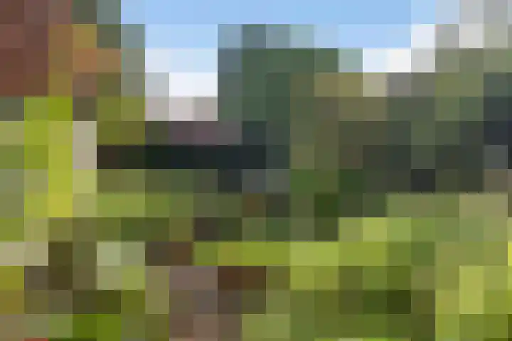 Pieter Jelles Troelstralaan 48 Amersfoort thumbnail 33