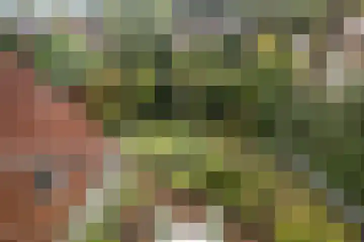 Pieter Jelles Troelstralaan 48 Amersfoort thumbnail 37