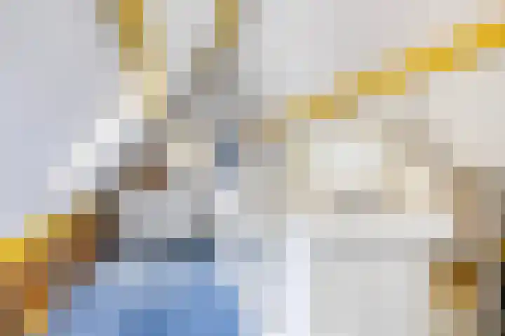 Pieter Jelles Troelstralaan 48 Amersfoort thumbnail 43