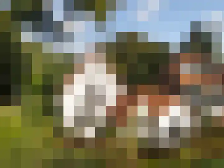 Pieter Jelles Troelstralaan 48 Amersfoort thumbnail 44