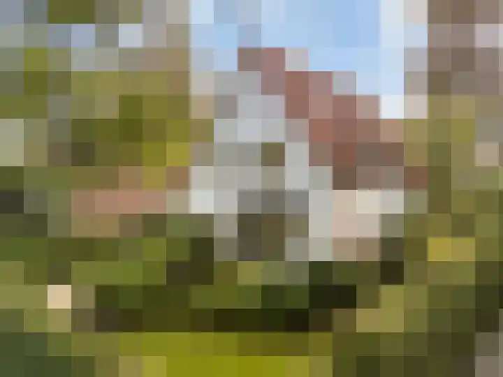Pieter Jelles Troelstralaan 48 Amersfoort thumbnail 46