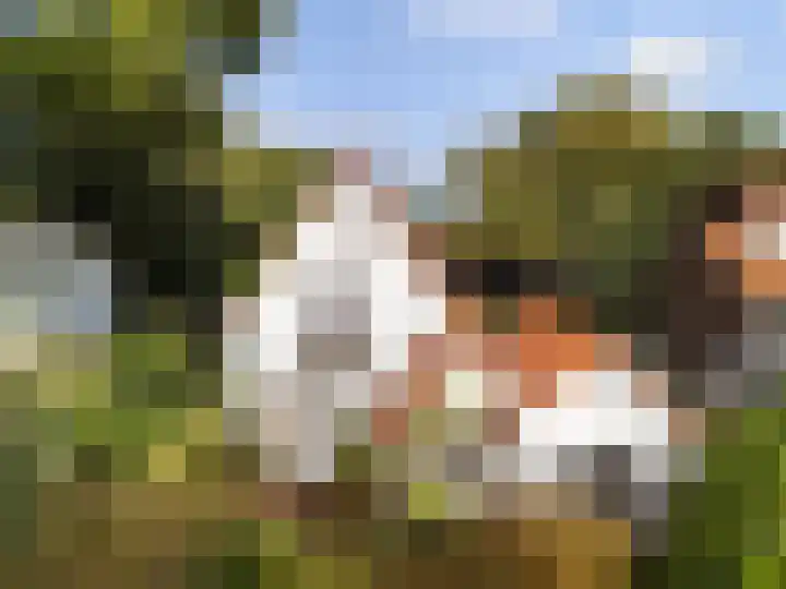 Pieter Jelles Troelstralaan 48 Amersfoort thumbnail 47