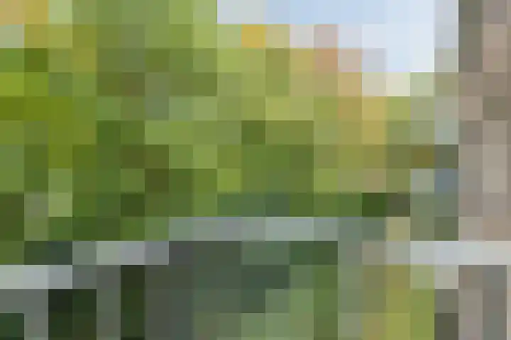Pieter Jelles Troelstralaan 57 B Amersfoort thumbnail 11