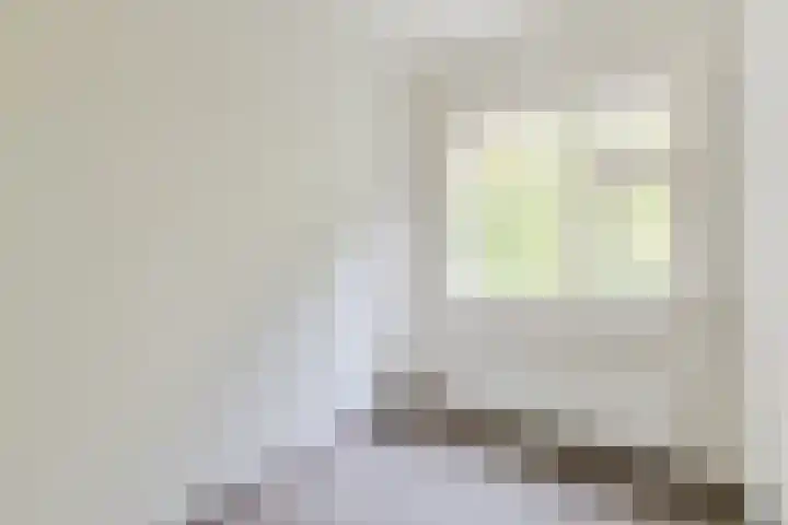 Pieter Jelles Troelstralaan 57 B Amersfoort thumbnail 13