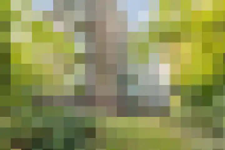 Pieter Jelles Troelstralaan 57 B Amersfoort thumbnail 22