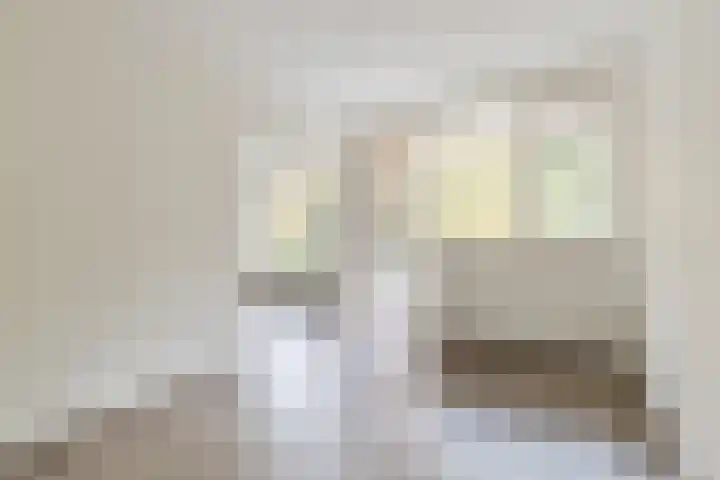 Pieter Jelles Troelstralaan 57 B Amersfoort thumbnail 4