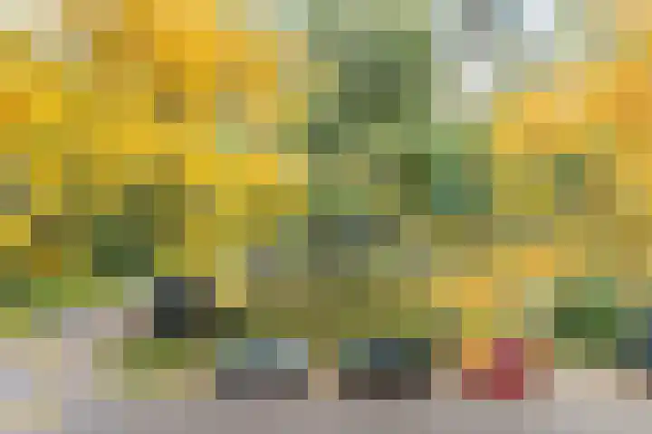 Pieter Jelles Troelstralaan 57 B Amersfoort thumbnail 8