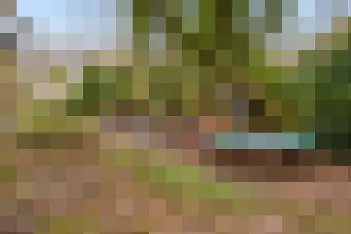 Pieter Jelles Troelstralaan 63 A Amersfoort thumbnail 22