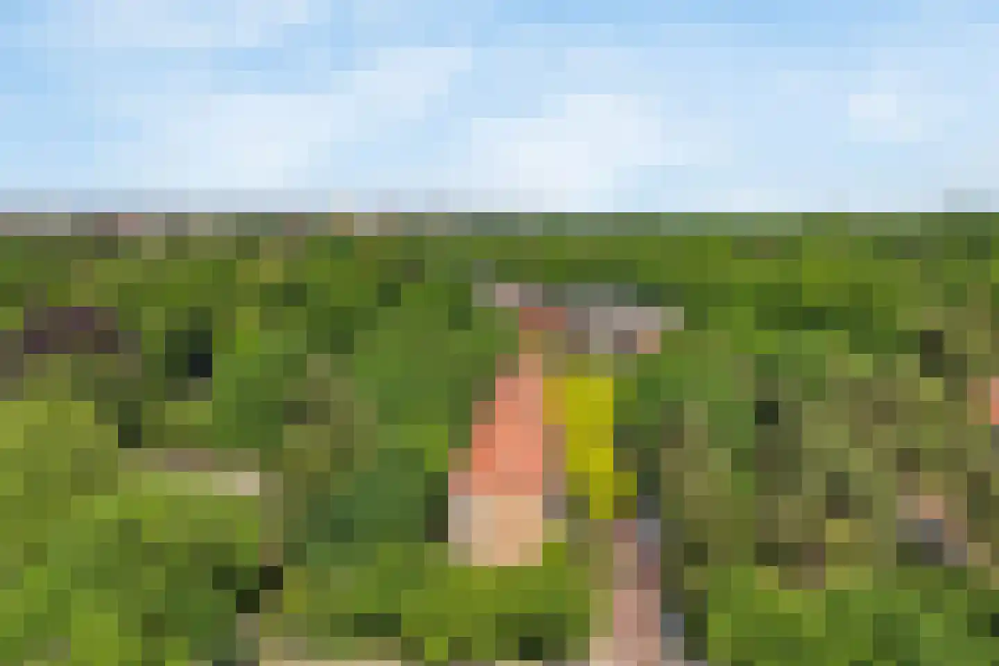 Pieter Jelles Troelstralaan 71 B Amersfoort thumbnail 33