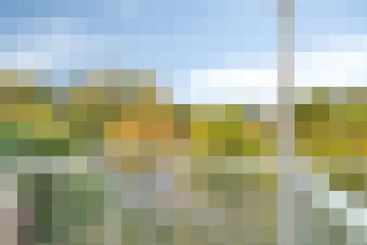 Pieter Jelles Troelstralaan 71 C Amersfoort thumbnail 15