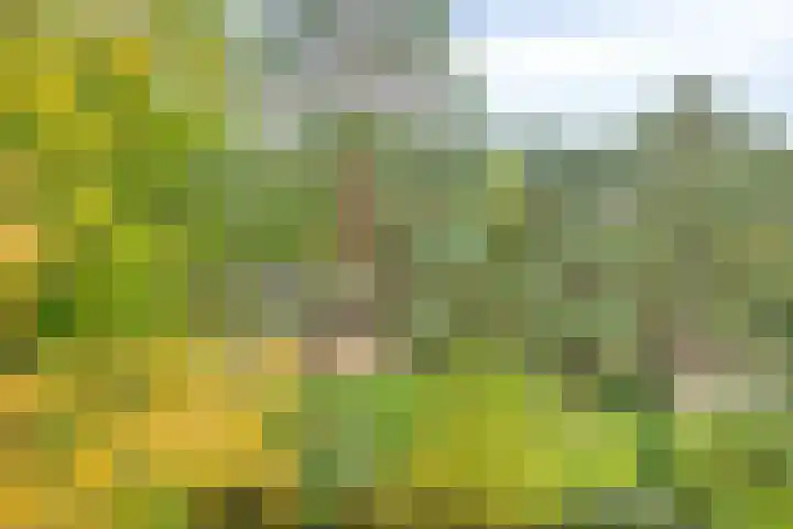 Pieter Jelles Troelstralaan 71 C Amersfoort thumbnail 9