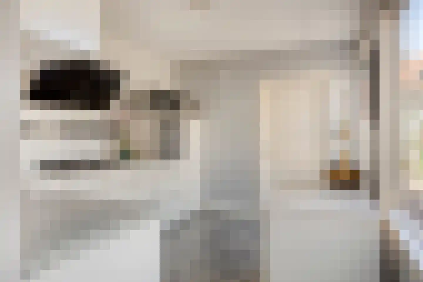 Pieter Jelles Troelstralaan 71 Zaandam thumbnail 13