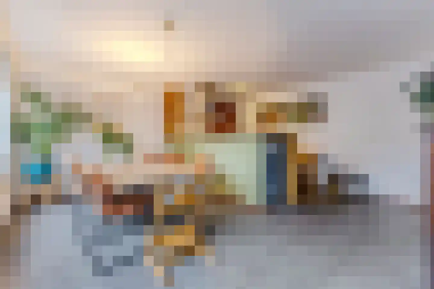 Pieter Jelles Troelstralaan 8 Zaandam thumbnail 11