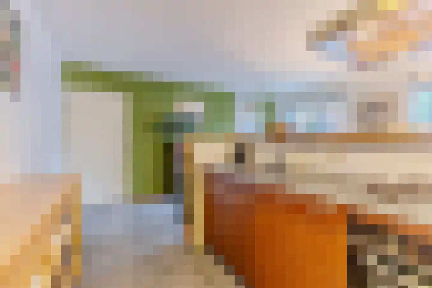 Pieter Jelles Troelstralaan 8 Zaandam thumbnail 15