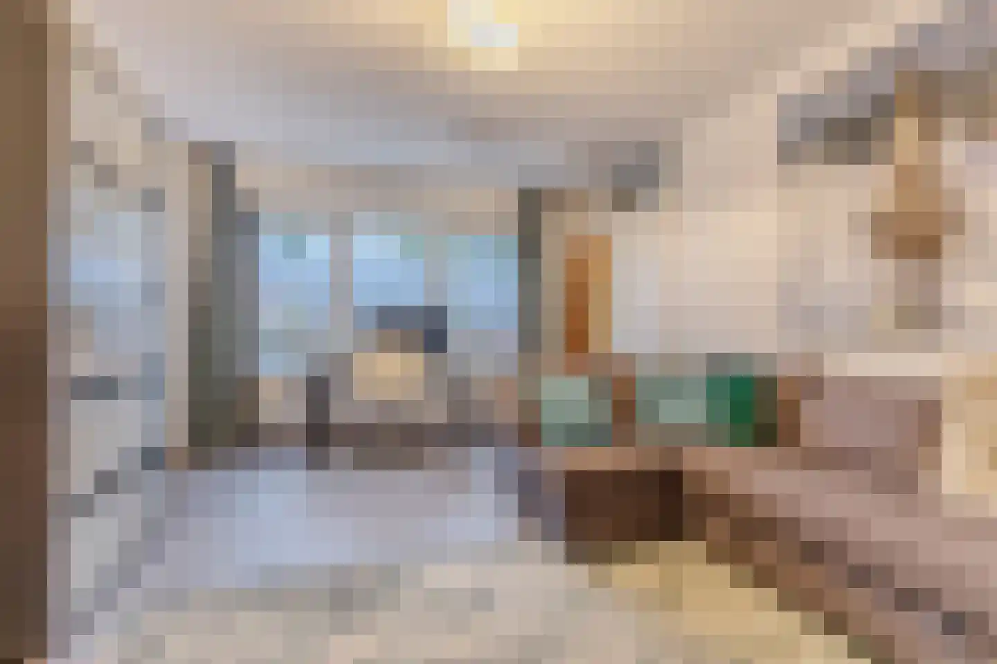 Pieter Jelles Troelstralaan 8 Zaandam thumbnail 17