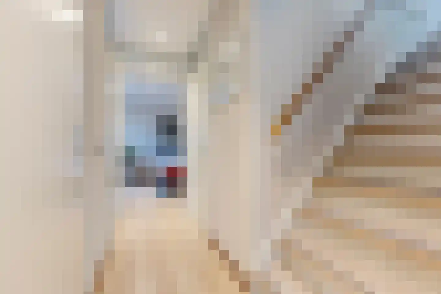 Pieter Jelles Troelstralaan 8 Zaandam thumbnail 18
