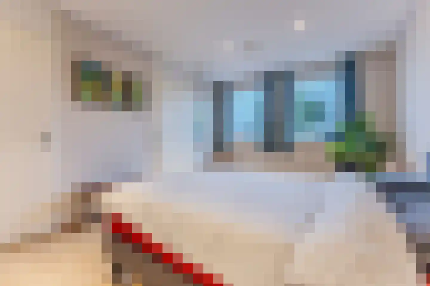 Pieter Jelles Troelstralaan 8 Zaandam thumbnail 20