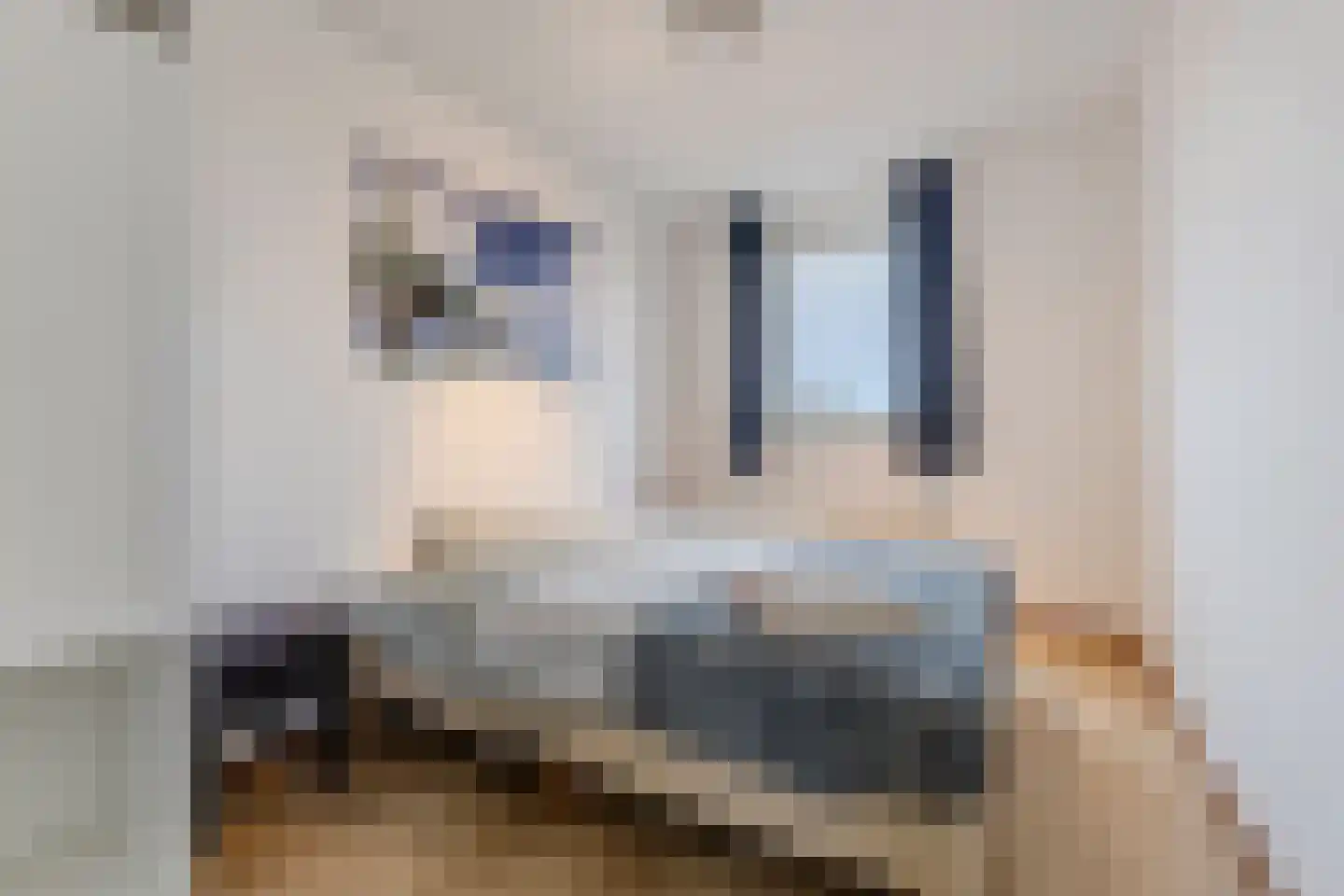 Pieter Jelles Troelstralaan 8 Zaandam thumbnail 26