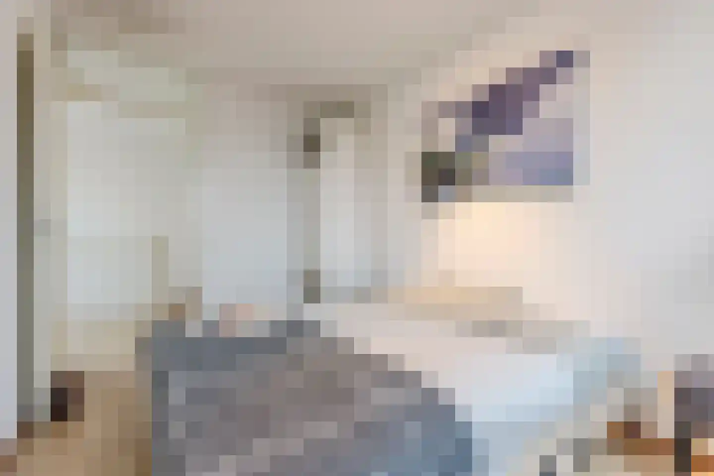 Pieter Jelles Troelstralaan 8 Zaandam thumbnail 27