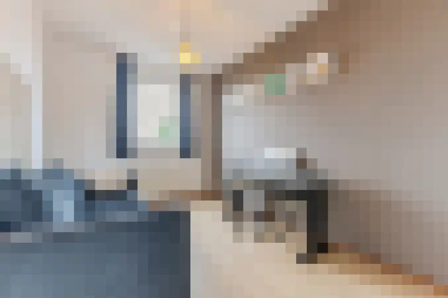 Pieter Jelles Troelstralaan 8 Zaandam thumbnail 28