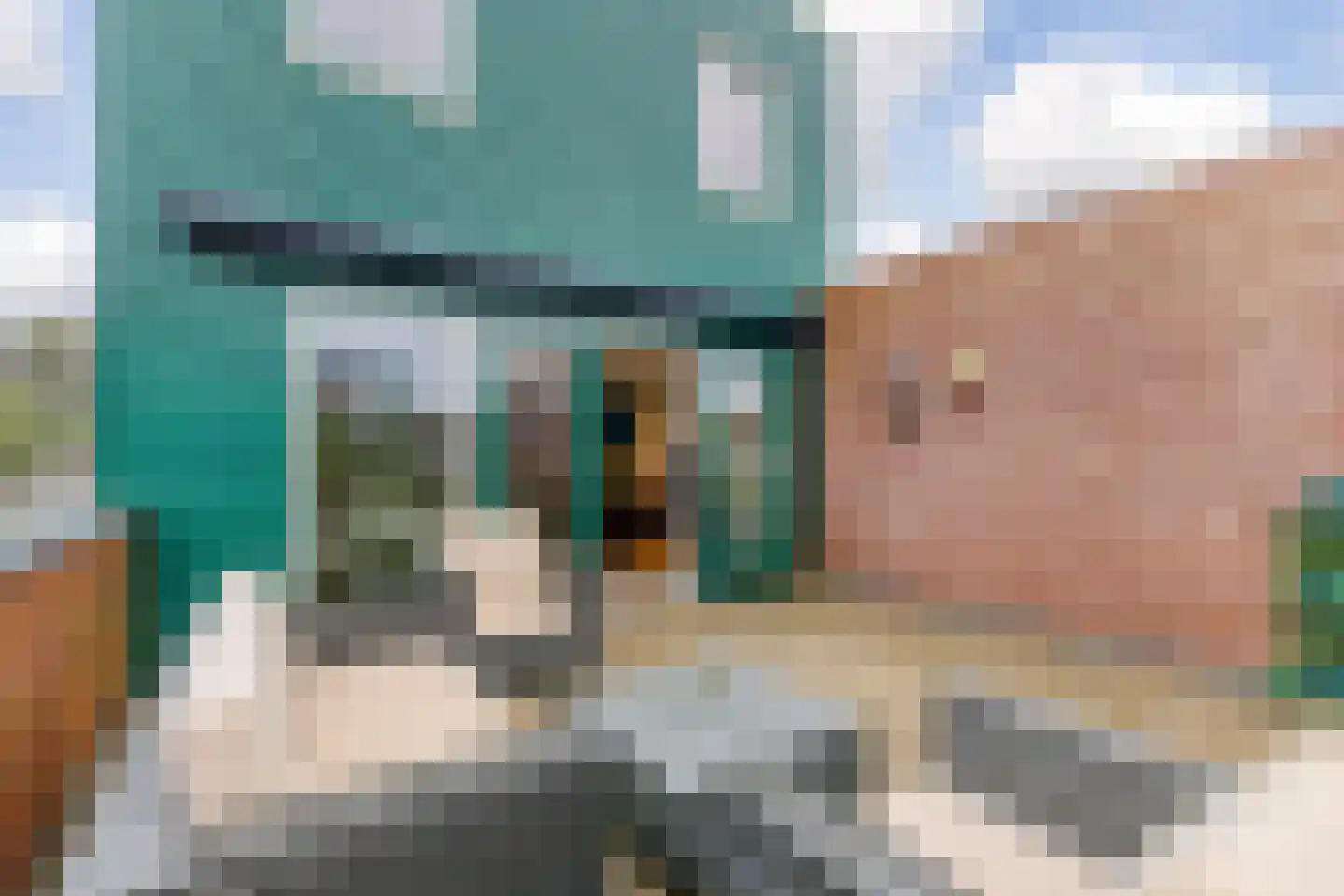 Pieter Jelles Troelstralaan 8 Zaandam thumbnail 9