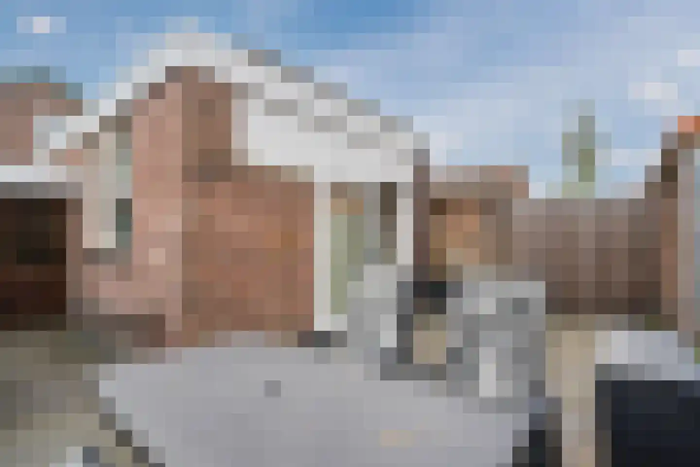 Pieter Jelles Troelstralaan 87 Zaandam thumbnail 40