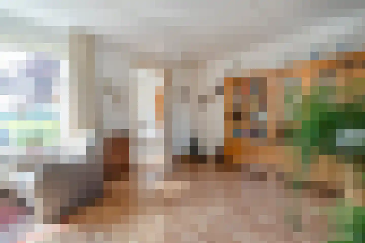 Pieter Jochemswal 10 Ruinerwold thumbnail 10